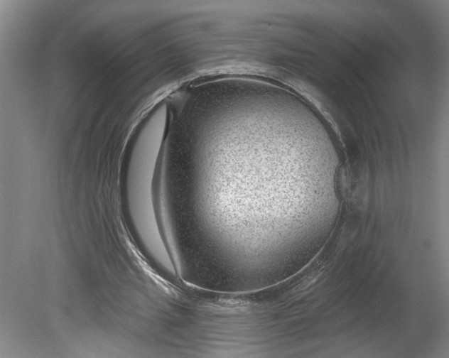 X0000080790437200701021228