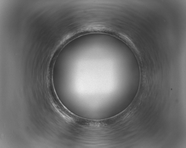 X0000080790439200701021228