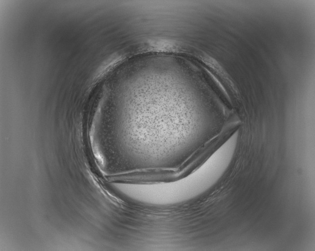 X0000080790442200701021228