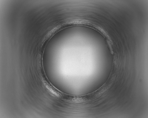 X0000080790445200701021228