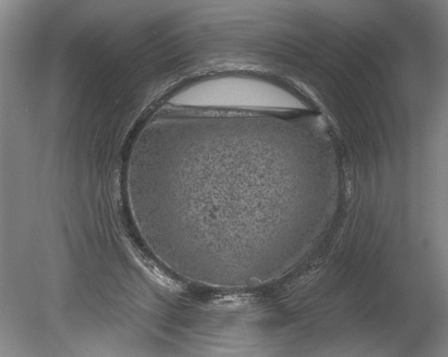 X0000080790447200701021228