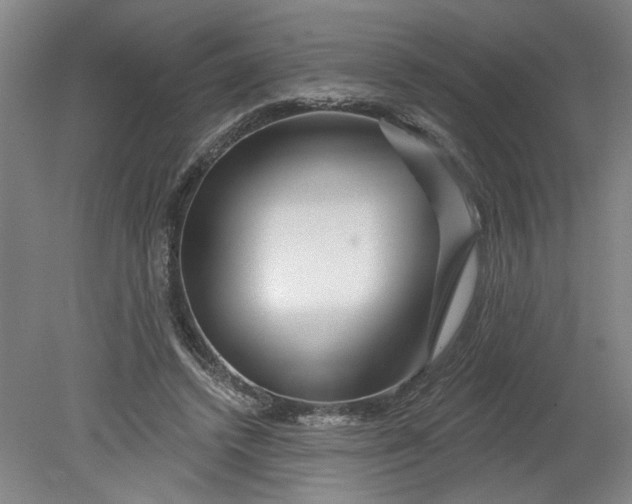 X0000080790448200701021228