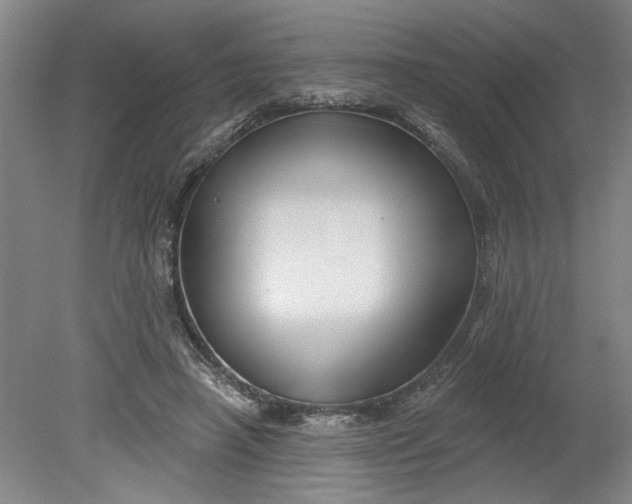 X0000080790450200701021228