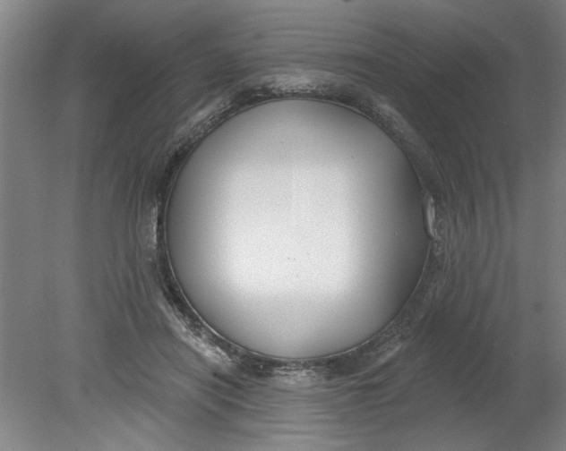X0000080790454200701021228
