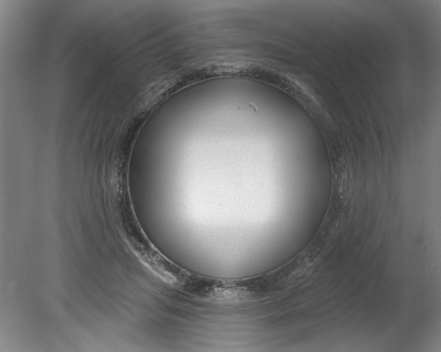 X0000080790455200701021228