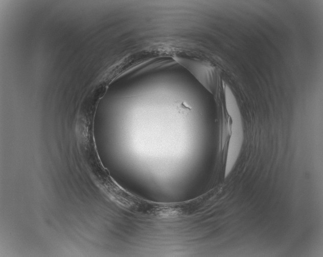 X0000080790456200701021228