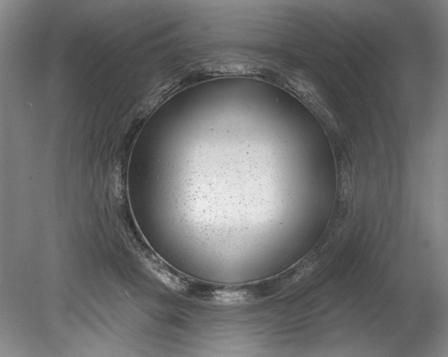 X0000080790457200701021228