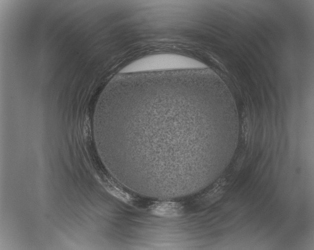 X0000080790459200701021228