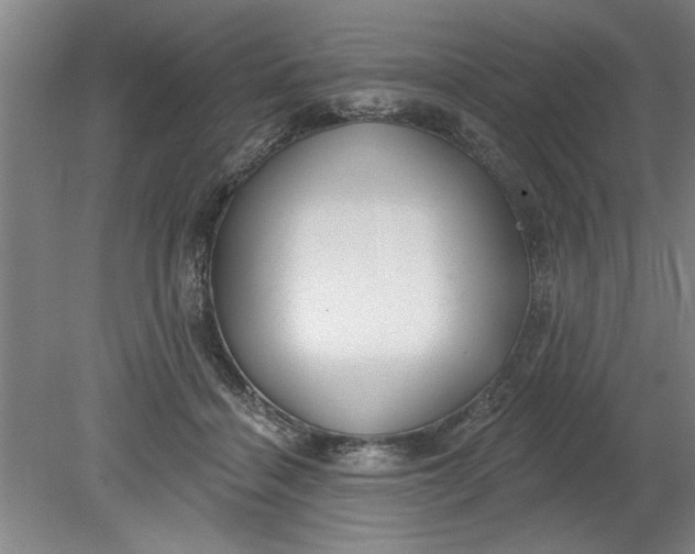 X0000080790460200701021228
