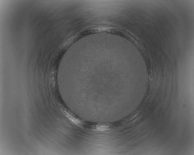 X0000080790462200701021228