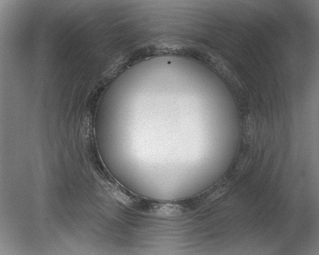X0000080790463200701021228