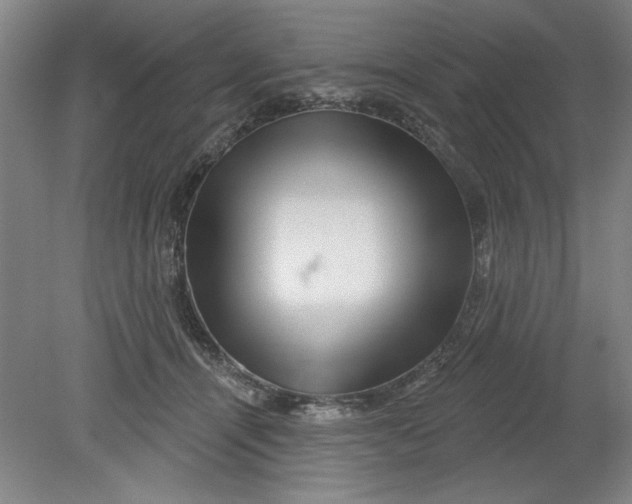 X0000080790464200701021228