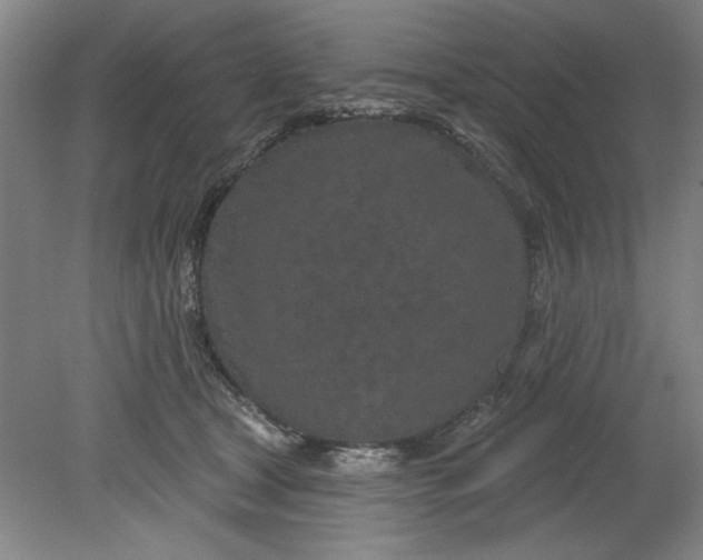 X0000080790465200701021228