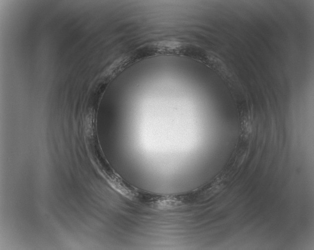 X0000080790468200701021228