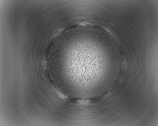 X0000080790469200701021228