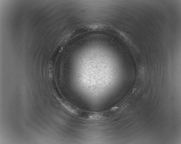 X0000080790470200701021229