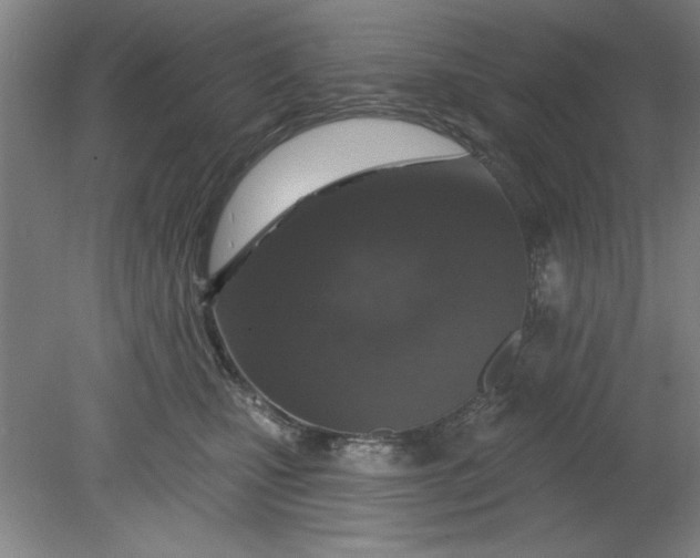 X0000080790471200701021229