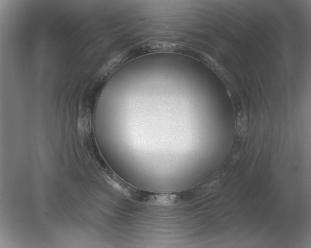 X0000080790474200701021229