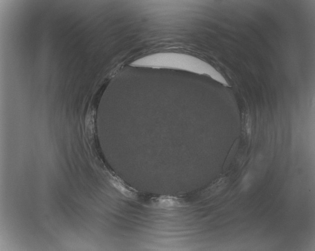 X0000080790475200701021229