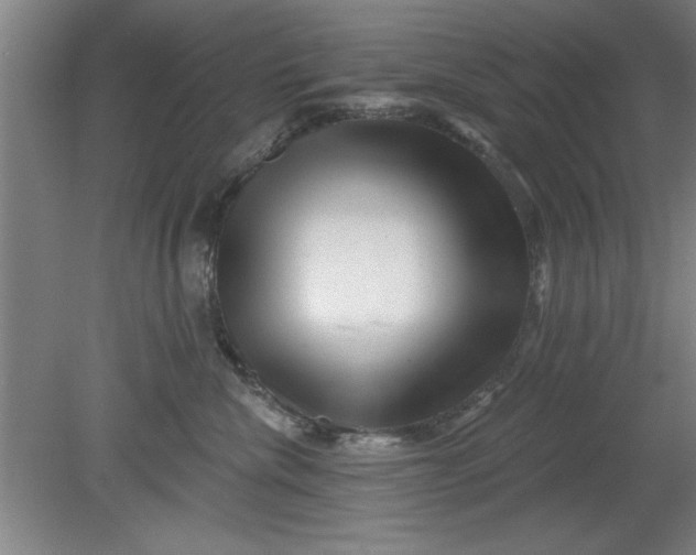 X0000080790476200701021229