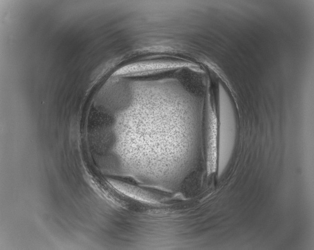 X0000080790482200701021228