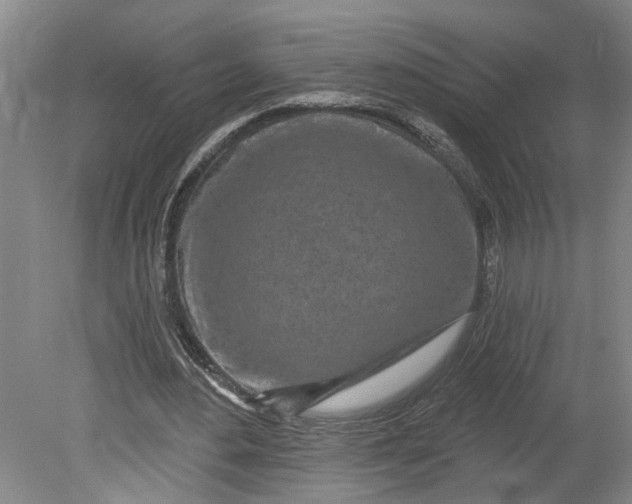 X0000080790484200701021228