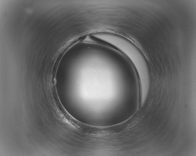 X0000080790485200701021228