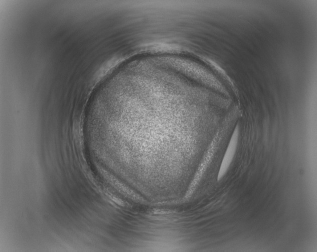 X0000080790487200701021228
