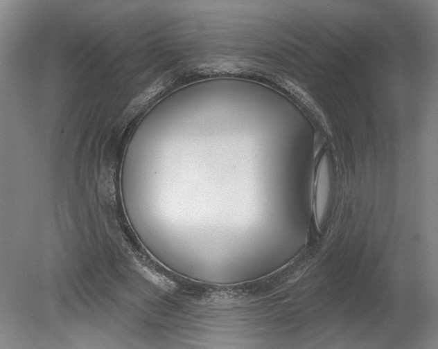 X0000080790489200701021228