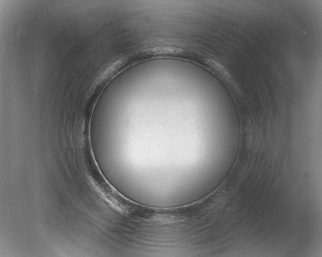 X0000080790490200701021228