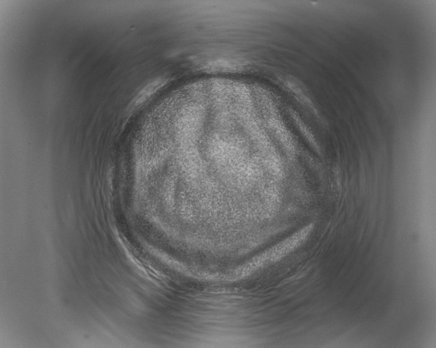 X0000080790491200701021228