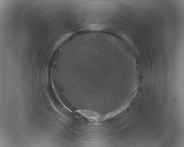 X0000080790492200701021228