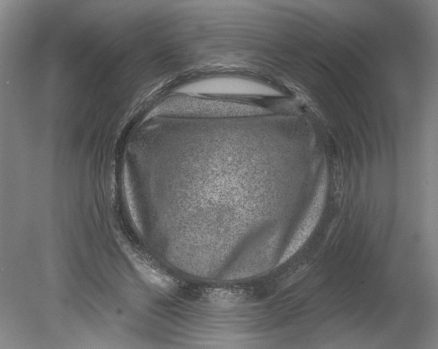 X0000080790494200701021228