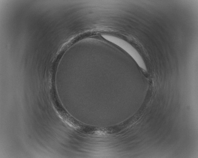 X0000080790496200701021228