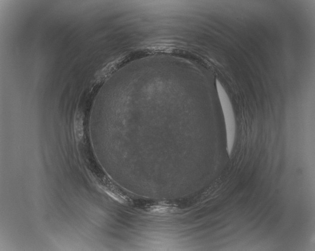 X0000080790504200701021227