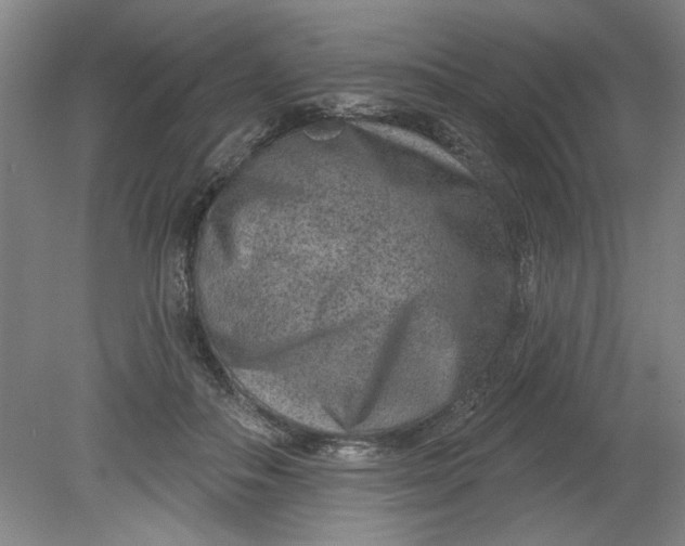 X0000080790506200701021227