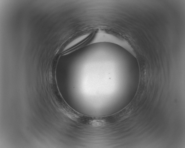 X0000080790508200701021227