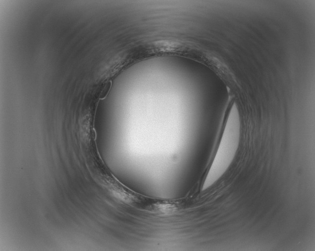 X0000080790509200701021227