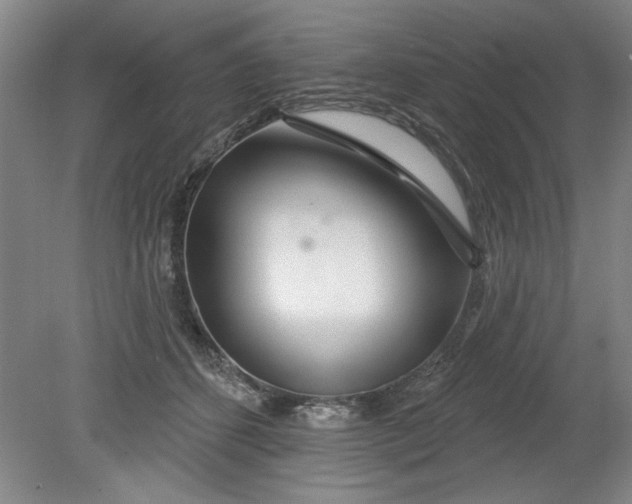 X0000080790512200701021227