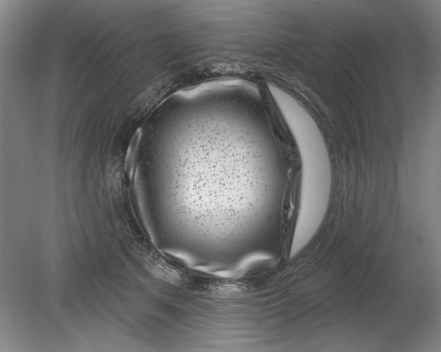 X0000080790513200701021227