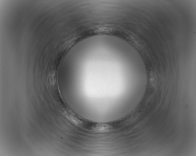 X0000080790514200701021227