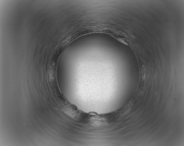 X0000080790515200701021227