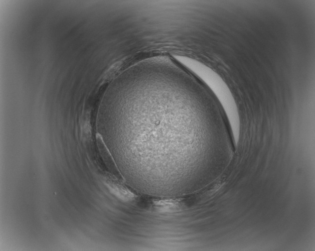 X0000080790516200701021227