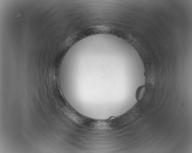 X0000080790518200701021227
