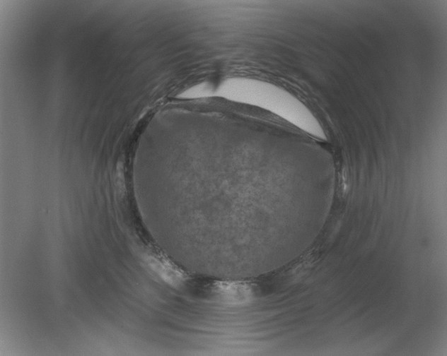 X0000080790520200701021227