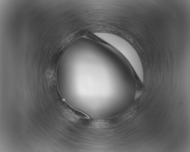 X0000080790521200701021227