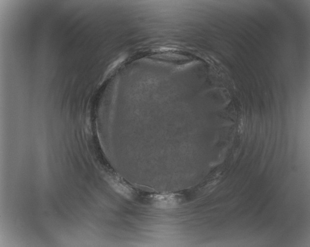 X0000080790524200701021227