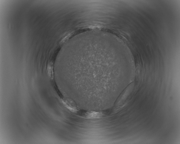 X0000080790527200701021227