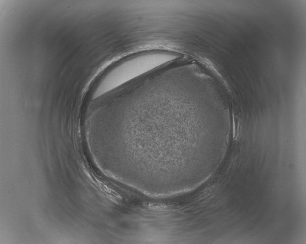 X0000080790531200701021226