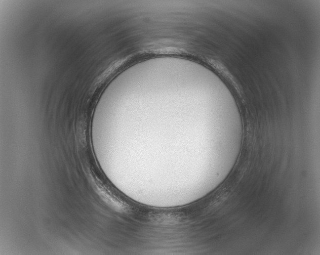 X0000080790533200701021226